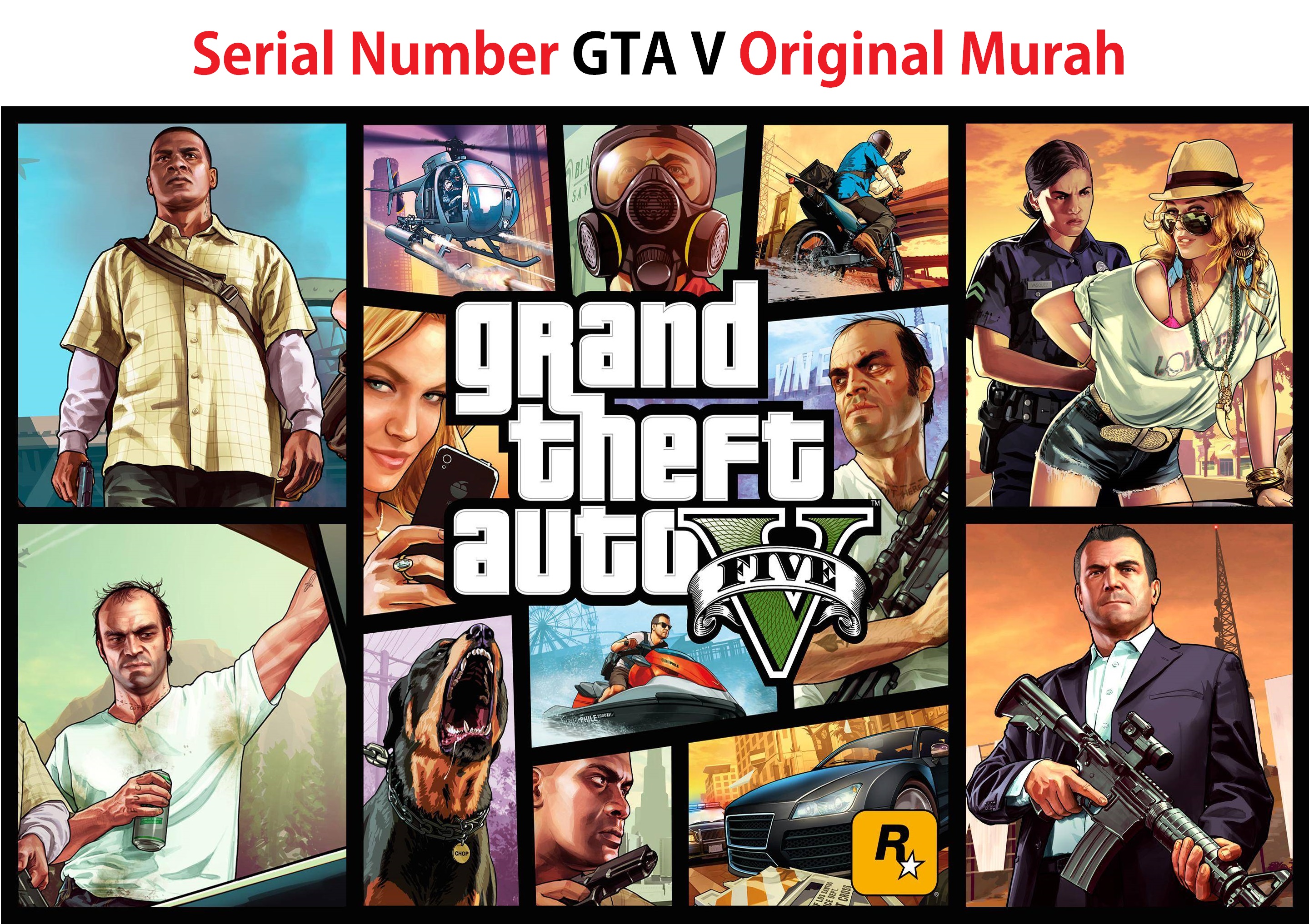gta 5 serial key free download without survey